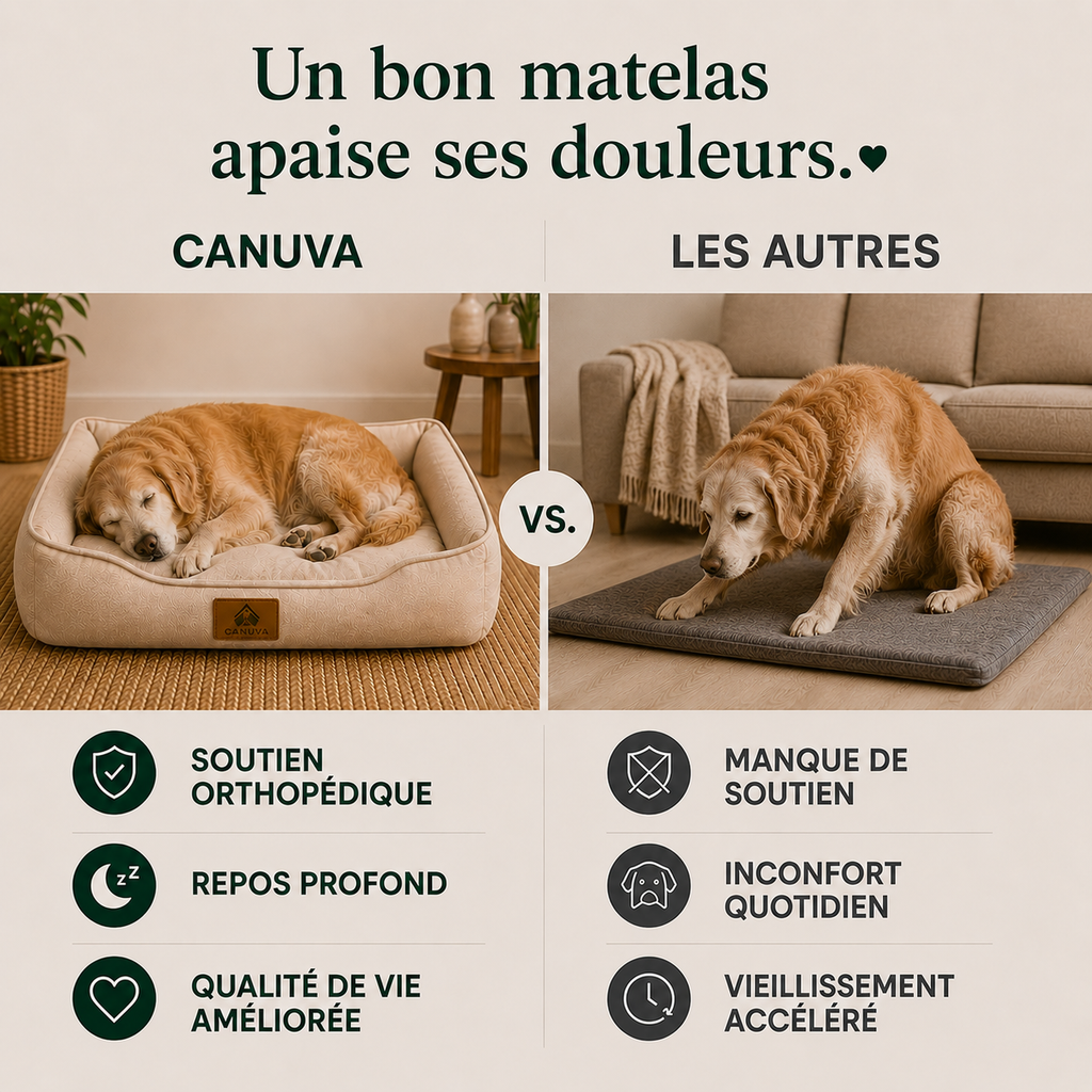 Coussin orthopédique pour chiens