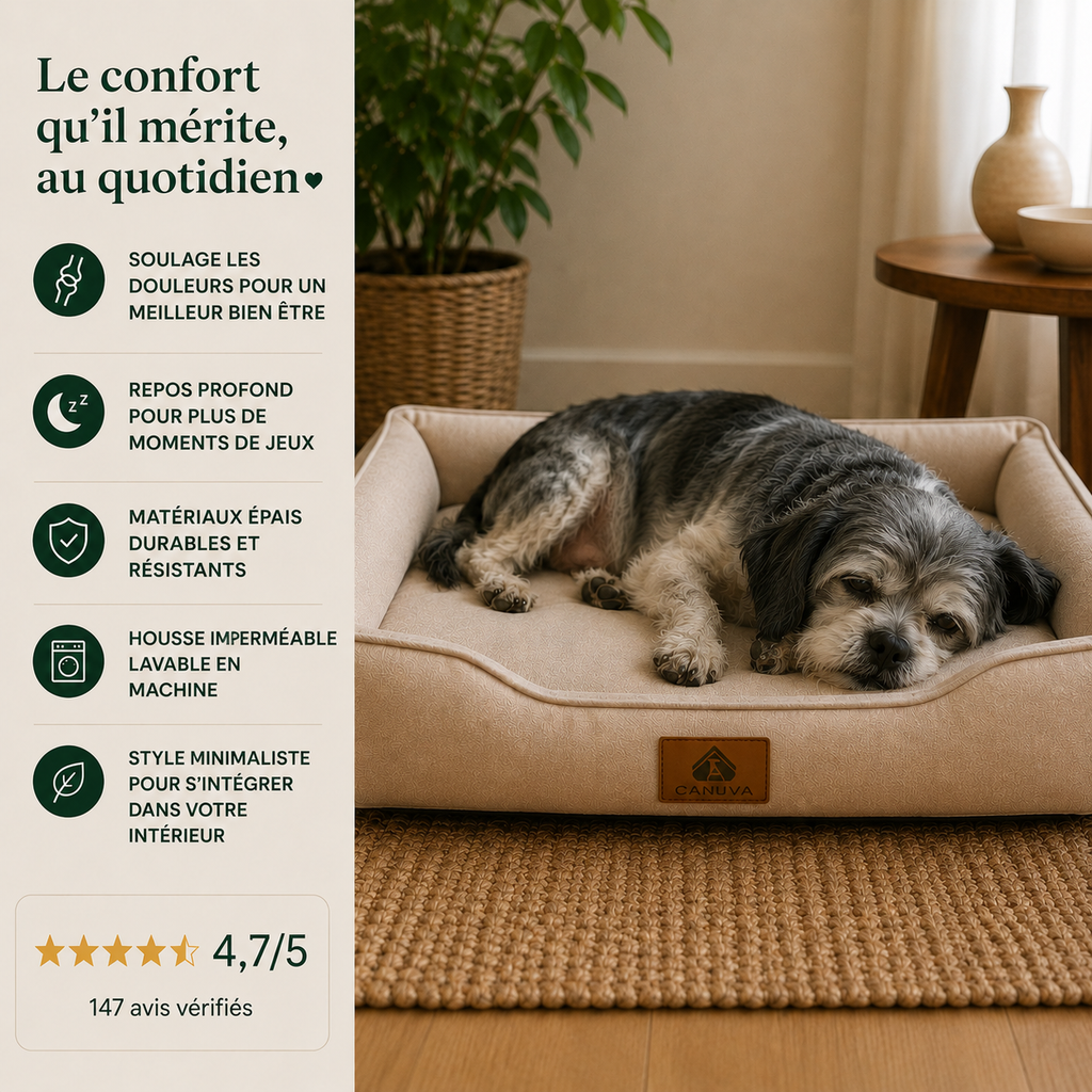 Coussin orthopédique pour chiens