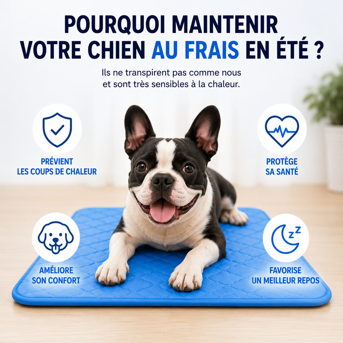 Tapis rafraîchissant pour chiens