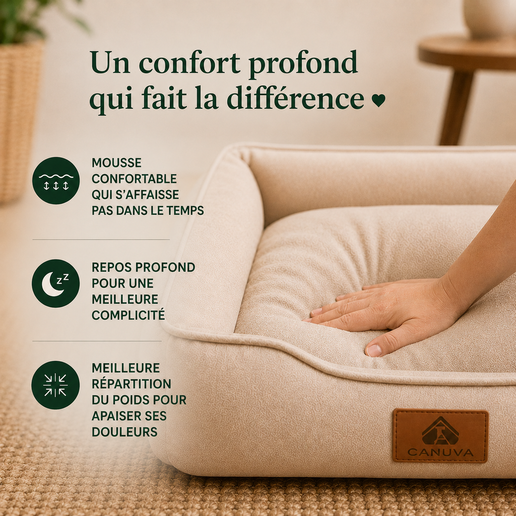 Coussin orthopédique pour chiens
