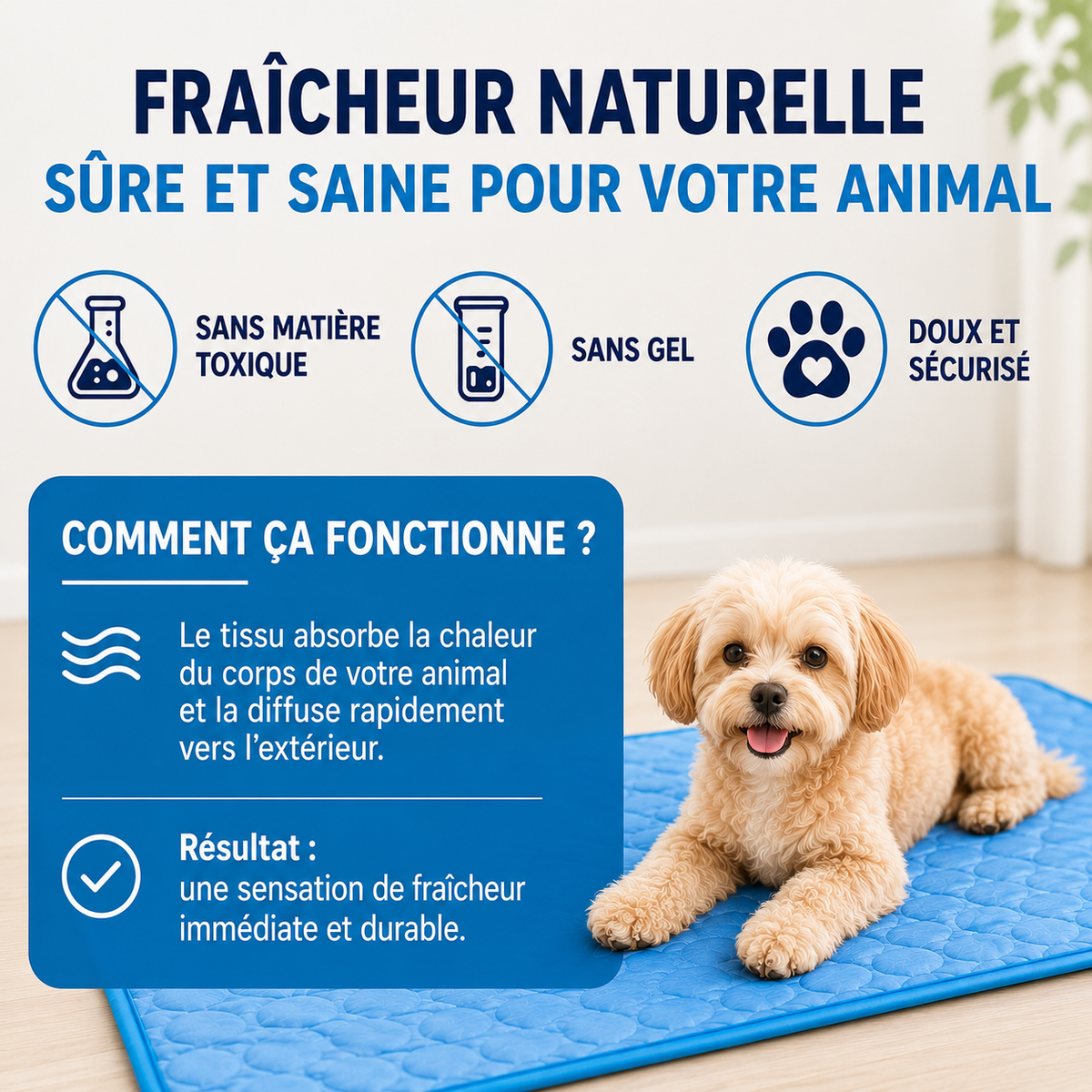 Tapis rafraîchissant pour chiens