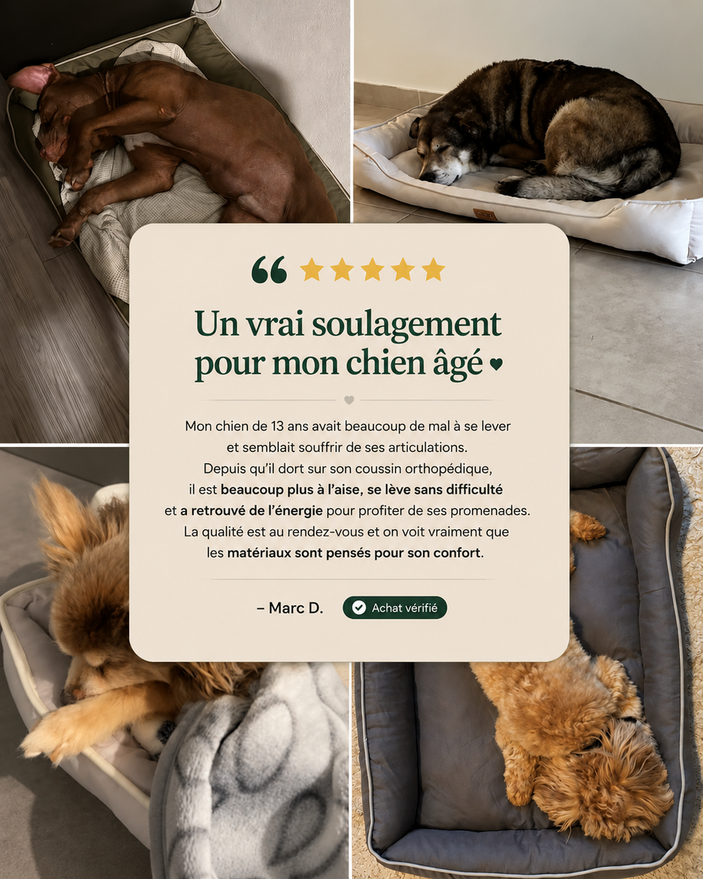 Coussin orthopédique pour chiens
