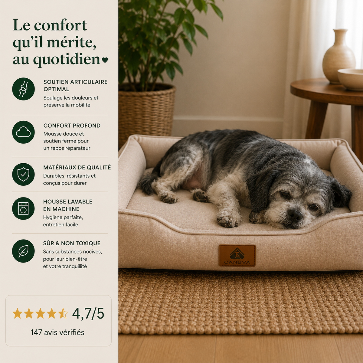 Coussin orthopédique pour chiens