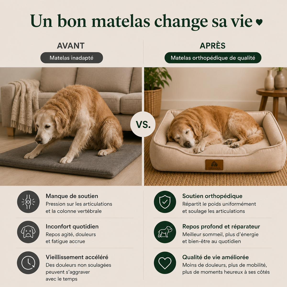 Coussin orthopédique pour chiens